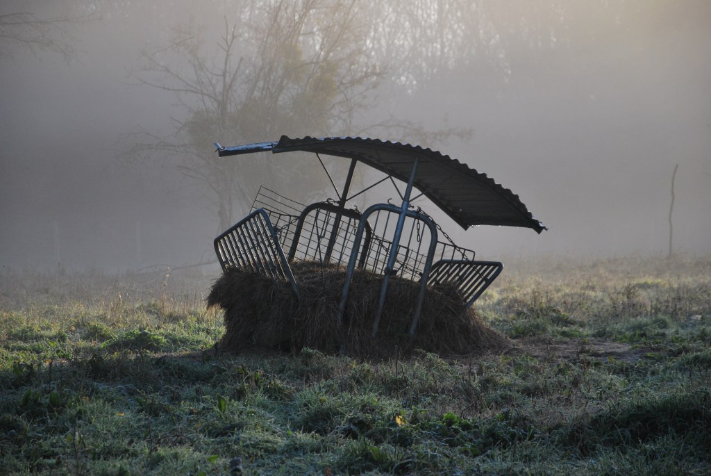 Ferme pédagogique - Lac des Dagueys - Adrien Bonnamy